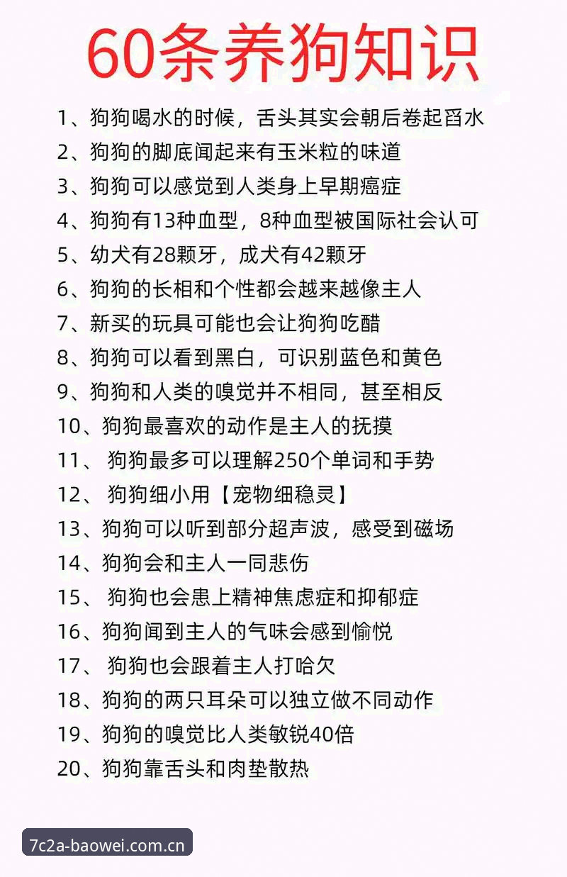宝威体育平台最新动态实用指南：新手快速上手的必备知识