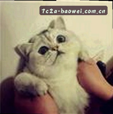 陈静